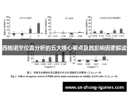 西格诺里位置分析的五大核心要点及其影响因素解读