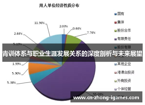 青训体系与职业生涯发展关系的深度剖析与未来展望